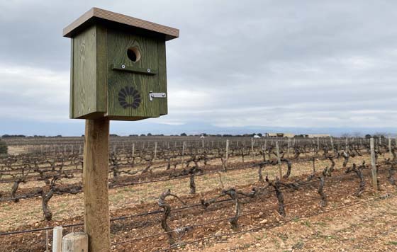 Tecnovino Pernod Ricard Winemakers Spain caja nido detalle