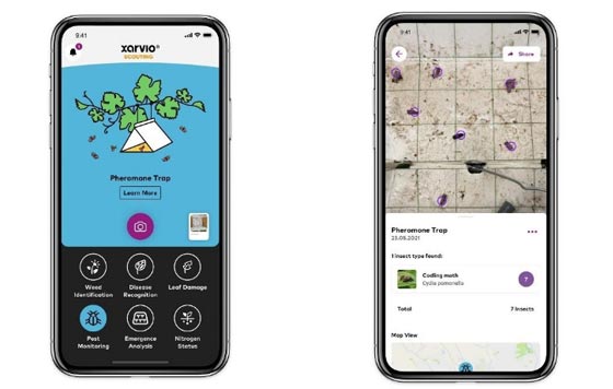 Tecnovino Xarvio Scouting aplicación trampas feromonas Basf detalle