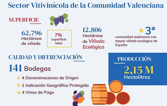 Tecnovino sector vitivinícola en Comunidad Valenciana Oive infografía detalle