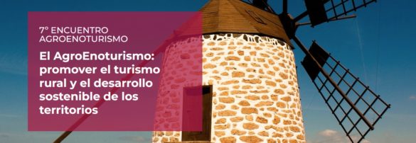 tecnovino AgroEnoturismo de Canarias detalle