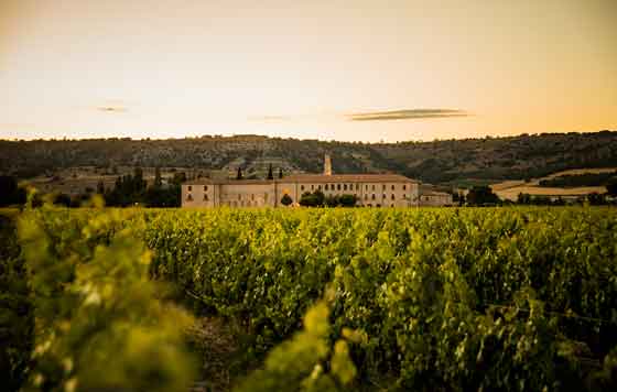 Tecnovino, Abadía Retuerta, Vino de pago