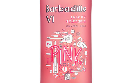 Tecnovino- Barbadillo VI Pink detalle botella