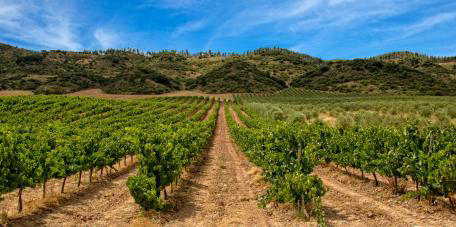 Tecnovino Conferencia Mundial sobre Enoturismo en La Rioja