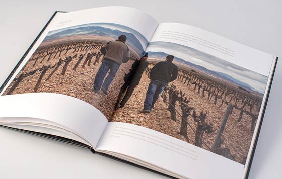 Tecnovino Grandes Vinos libro 25 aniversario