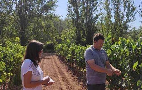 tecnovino agricultura sostenible y de precisión curso fitosanitarios La Rioja