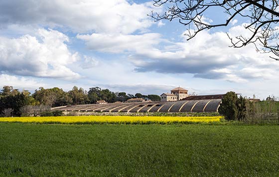 Tecnovino bodega de Perelada exterior detalle