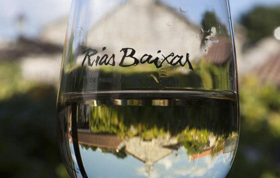 Tecnovino vinos D.O. Rías Baixas