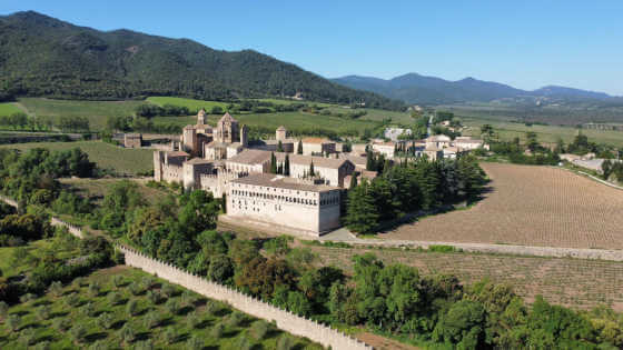 Tecnovino, Abadía de Poblet Rosado