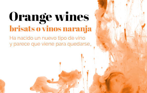 Tecnovino, Orange wines, Primeras marcas
