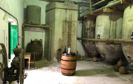 Tecnovino- Bodegas Cano, tinajas de barro, instalaciones