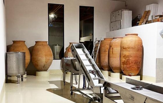 Tecnovino- Bodegas Cano, tinajas de barro, instalaciones