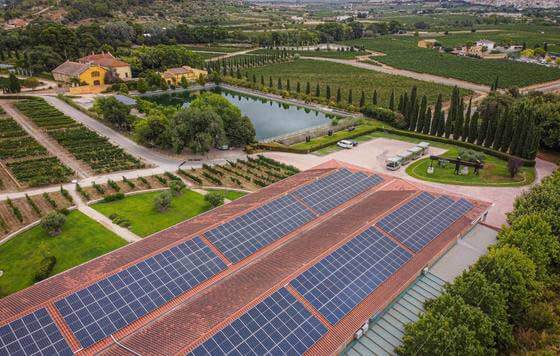 Tecnovino- Familia Torres, paneles solares, Penedes