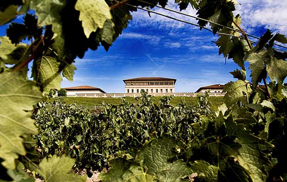 Tecnovino Rioja Vega bodega y viñedo