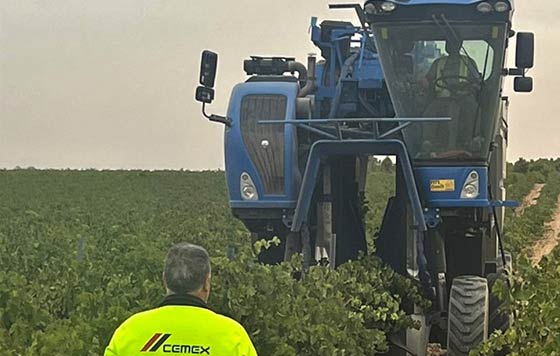 Tecnovino, viñedos en la cantera Cemex