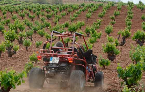 Tecnovino, D.O. Ribera del Guadiana, enoturismo