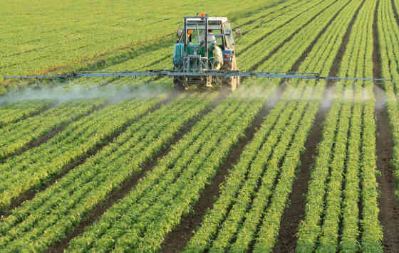 Tecnovino, superficie de cultivo en España