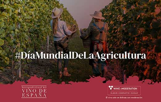 Tecnovino viticultura OIVE dia mundial agricultura detalle