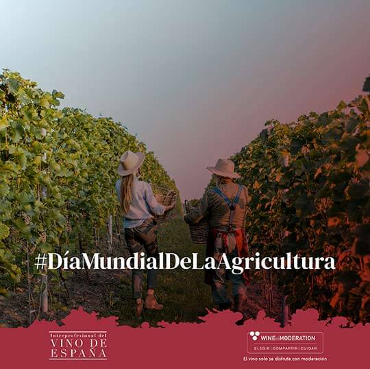 Tecnovino viticultura OIVE dia mundial agricultura