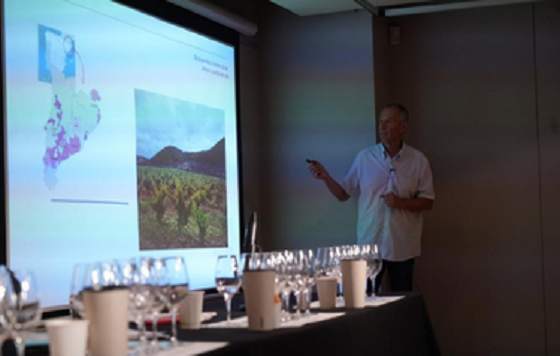 Tecnovino presentación resultados estudio Innovi e Incavi en El Palau Robert de Barcelona relación entre aromas de los vinos y el paisaje boténico de cada viñedo