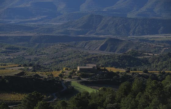 Tecnovino Familia Torres Pirene 2020 paisaje