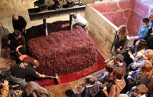 Tecnovino Fiesta del Pisado de la uva Bodegas Lecea detalle