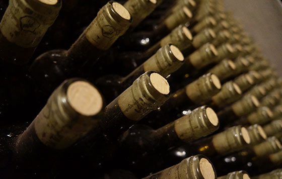 Tecnovino Rhenus almacenaje almacenamiento para la industria del vino