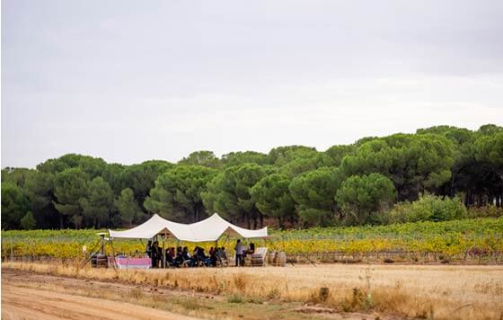 Tecnovino, bodega cruz de alba, Biodinámico 