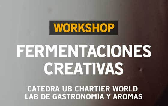 Tecnovino, Fermentaciones Creativas, Workshop, 2022