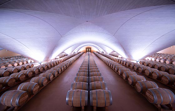 Tecnovino Bodega Otazu sala barricas catedral