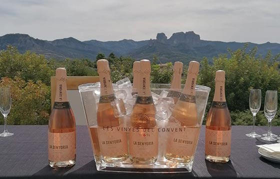 Tecnovino La Senyoria Rosado 2019 Les Vinyes del Convent