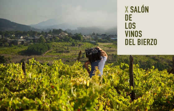 Tecnovino, El X Salón de los Vinos del Bierzo, Madrid