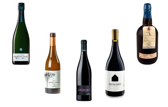 Tecnovino- Selección vinos para celebraciones Bodeboca