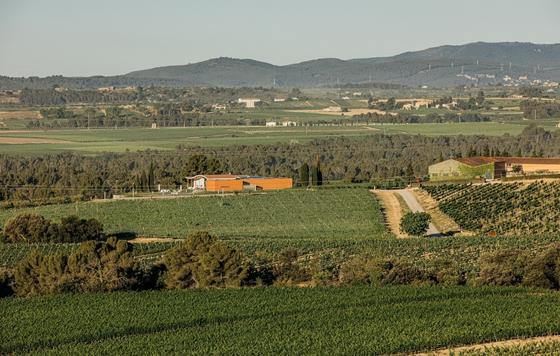 Tecnovino- Bodega Jean Leon, viñedo y bodega