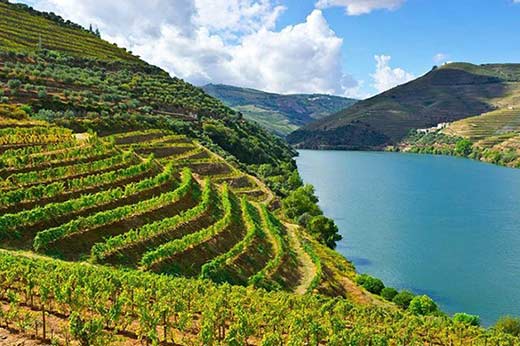 Tecnovino Douro Duero Ciudad Europea del Vino 2023 2