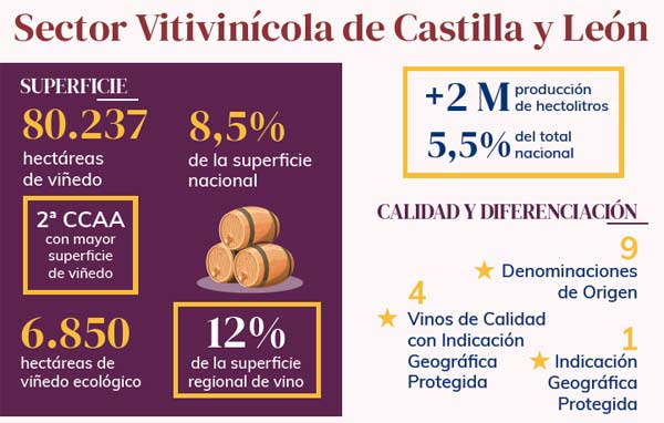 Tecnovino- Sector Vitivinícola de Castilla y León 2022 infografía