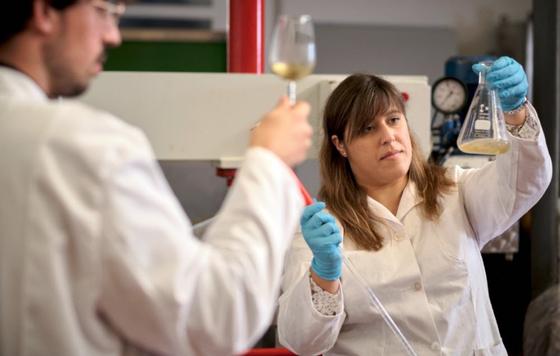 pionera en el cultivo ecológico de la variedad Pedro Ximénez en el Marco de Jerez Recibidos