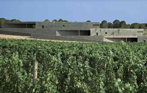 Tecnovino finca de la bodega Terra Remota de la D.O. Catalunya