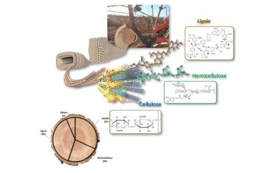 Tecnovino- Proyecto de I+D+i USARVID