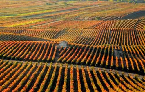 Tecnovino Gobierno La Rioja vino enoturismo Encuentro sobre Talento en Enoturismo