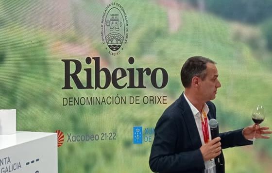 Tecnovino - Juan Manuel Casares Gándara, reelegido presidente del Consejo Regulador de la DO Ribeiro