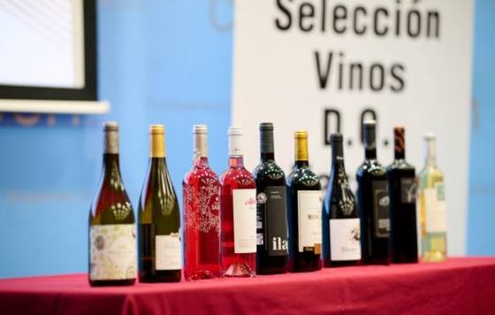 Tecnovino- Selección Vinos D.O. Navarra 2023