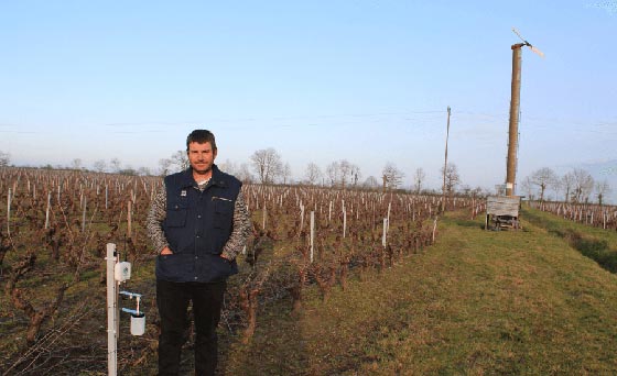 Tecnovino heladas primaverales en el viñedo Weenat 4