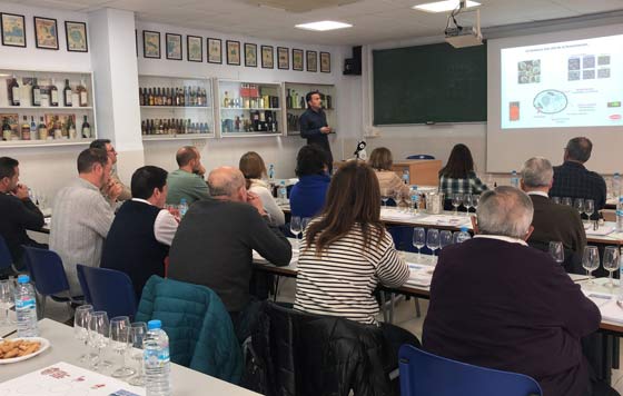 Tecnovino- jornada técnica de la La Asociación Valenciana de Enólogos (AVE) y Lallemand