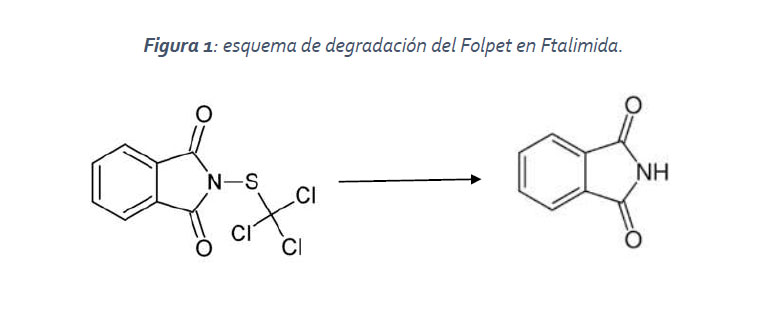 Tecnovino metabolitos pesticidas uvas y vino Laboratorios Excell Iberica 3