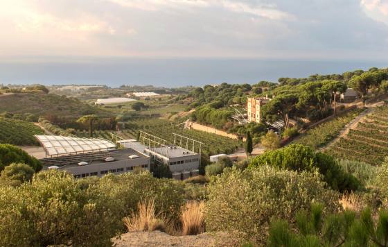 Tecnovino- Alta Alella, bodega familiar ecológica