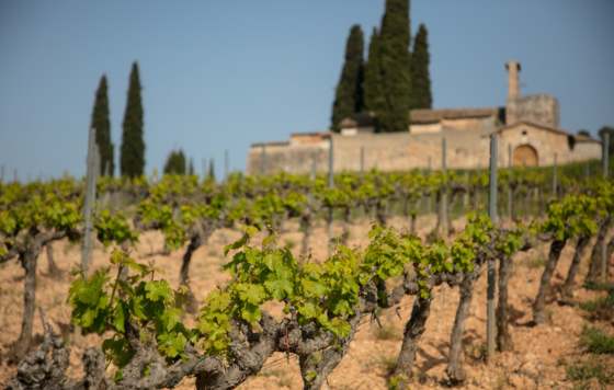 Tecnovino- Descubre las 18 actividades de la sexta edición de la Primavera del Cava