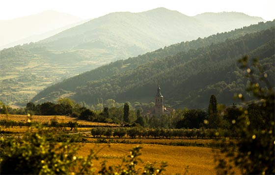 Tecnovino Rioja planes y vinos detalle