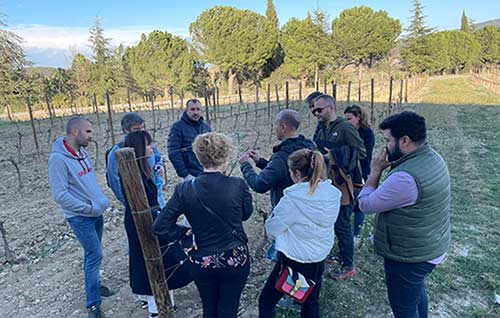 Tecnovino formación a los futuros Masters of Wine Juve & Camps detalle