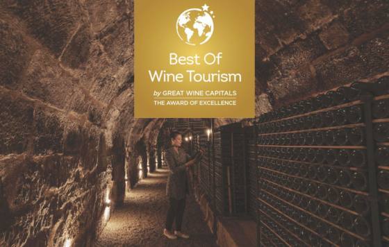 Tecnovino- Best Of Wine Tourism Bilbao-Rioja 2024, convocatoria abierta