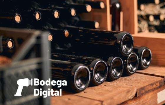 Tecnovino Bodega Digital gestiÓn del inventario de vino